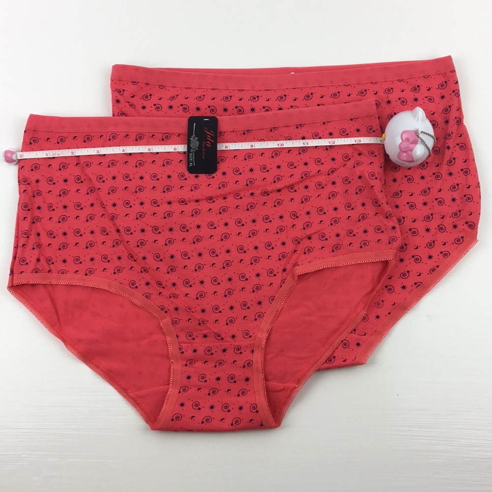 Fashion Intimates NWT Panty